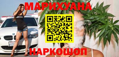 сатива Малгобек